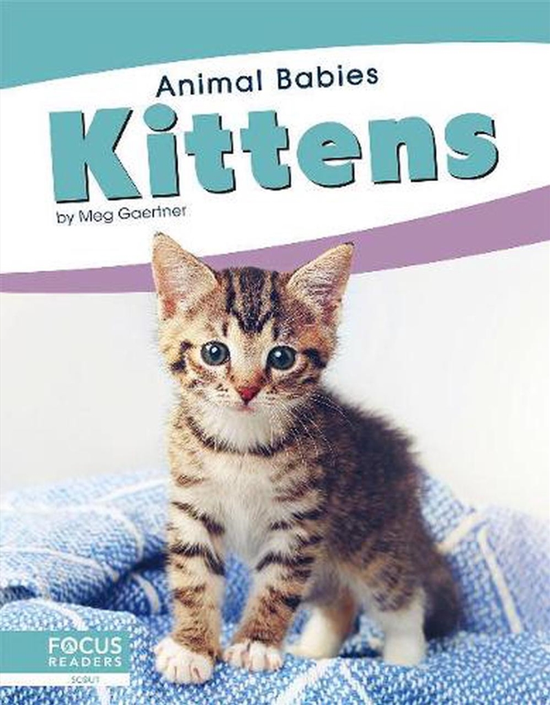 Animal Babies: Kittens/Product Detail/Childrens