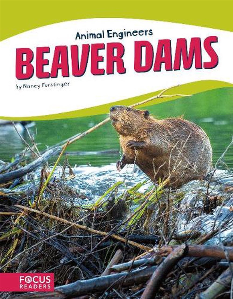 Animal Engineers: Beaver Dams/Product Detail/Childrens