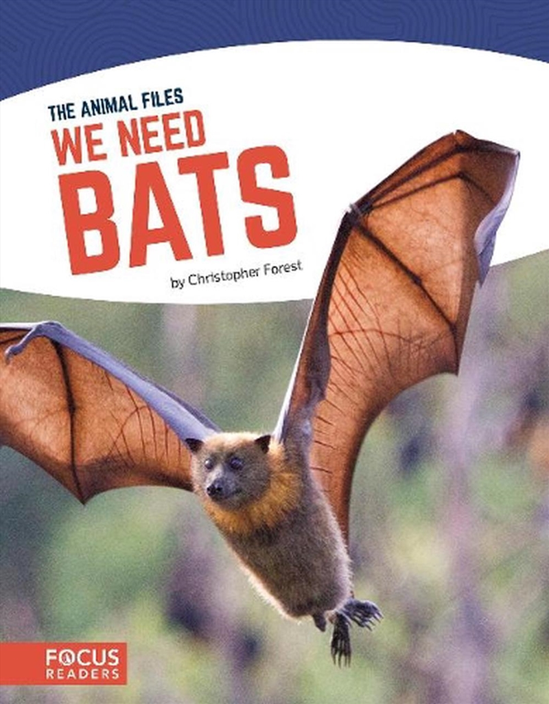 Animal Files: We Need Bats/Product Detail/Childrens