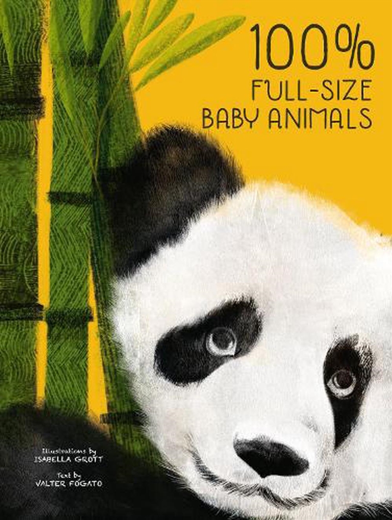 100% Full Size Baby Animals/Product Detail/Early Childhood Fiction Books