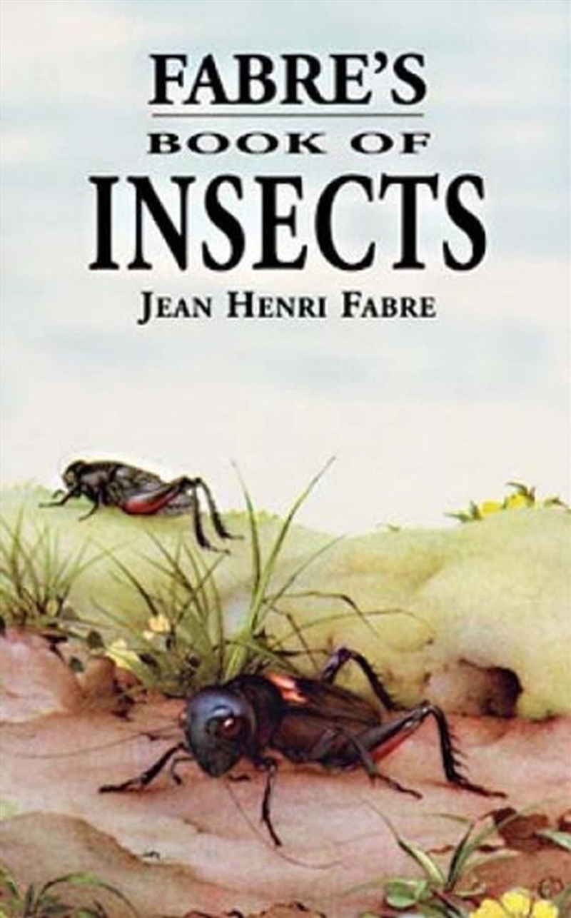 Fabre's Book of Insects/Product Detail/Animals & Nature