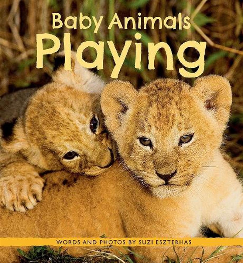 Baby Animals Playing/Product Detail/Childrens