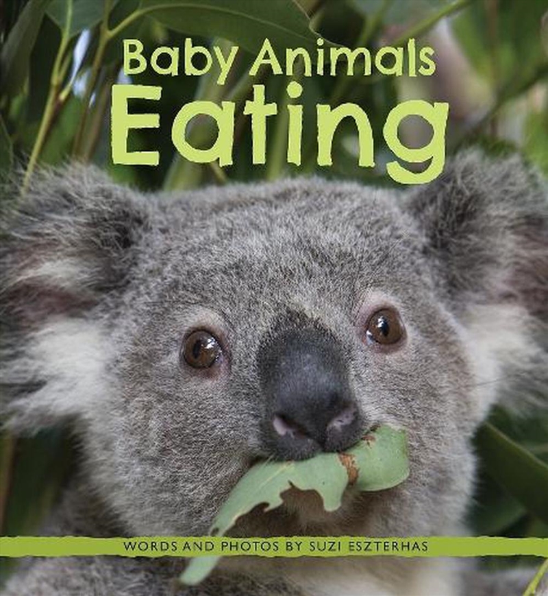 Baby Animals Eating/Product Detail/Childrens