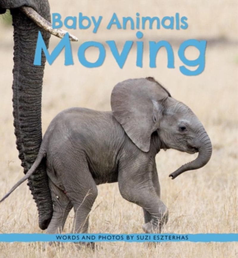 Baby Animals Moving/Product Detail/Childrens