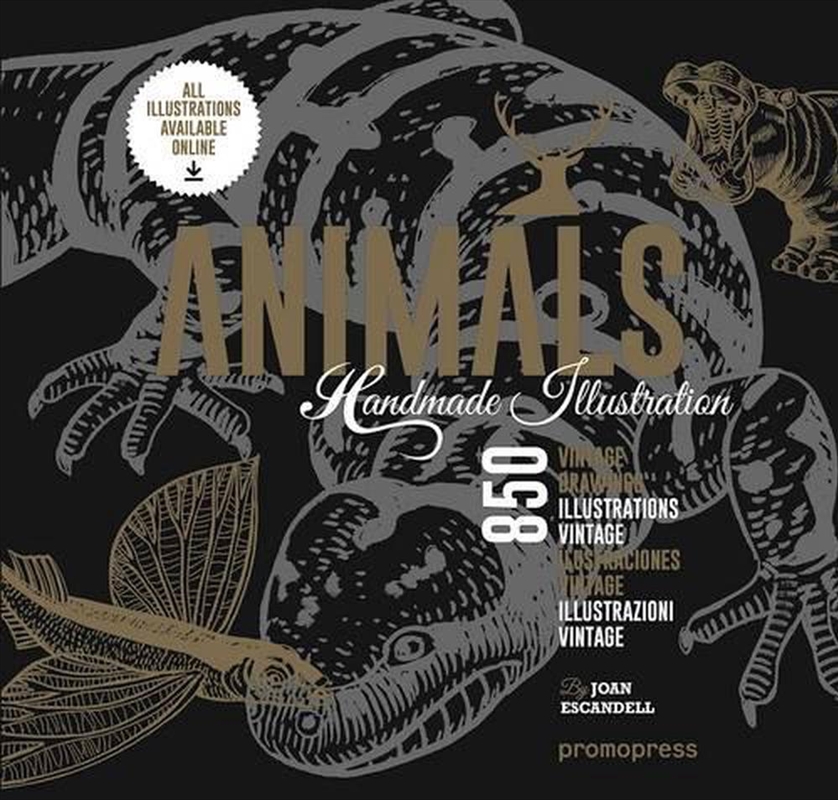 Animals: 1000 Handmade Illustrations/Product Detail/Reading