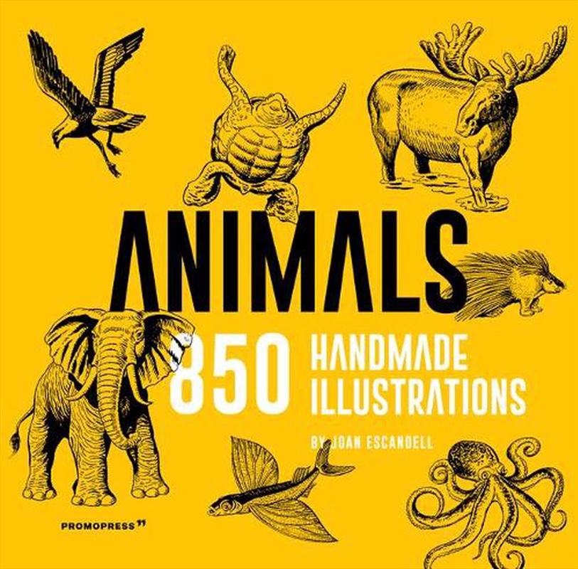 Animals: 850 Handmade Illustrations/Product Detail/Reading