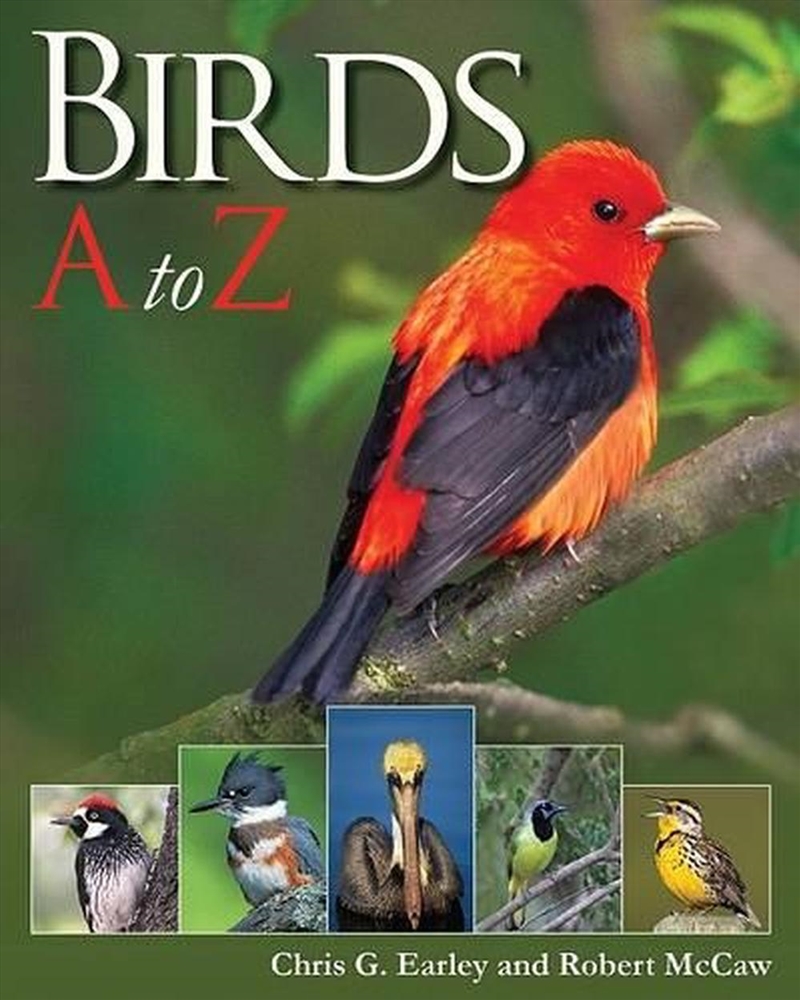 Birds A to Z/Product Detail/Childrens