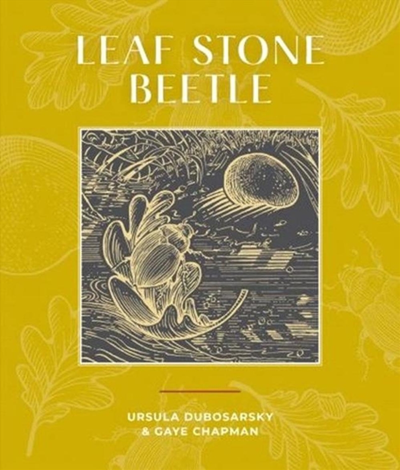 Leaf Stone Beetle/Product Detail/Childrens Fiction Books