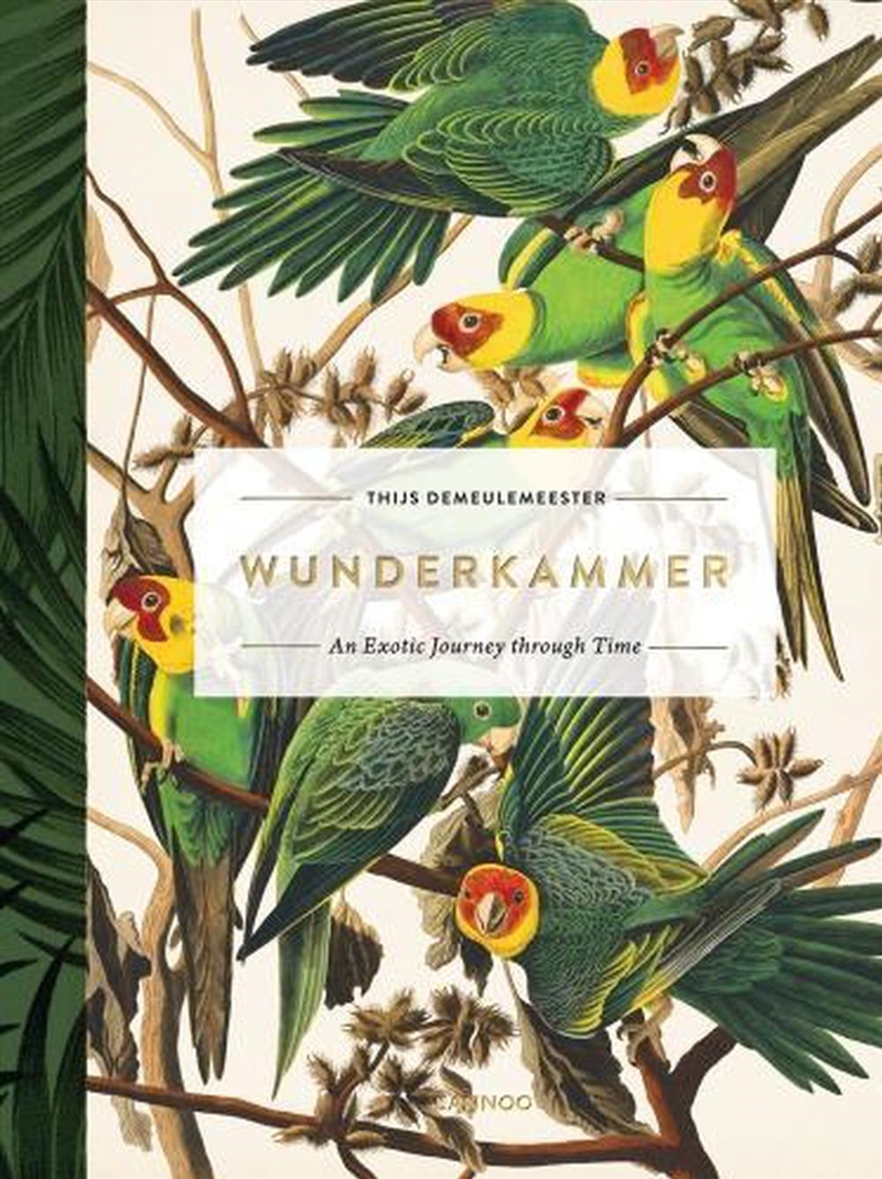 Wunderkammer: An Exotic Journey Through Time/Product Detail/Reading