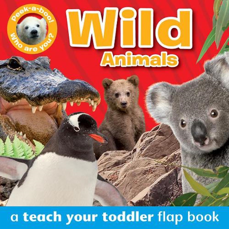 Peek-A-Boo Wild Animals/Product Detail/Early Childhood Fiction Books
