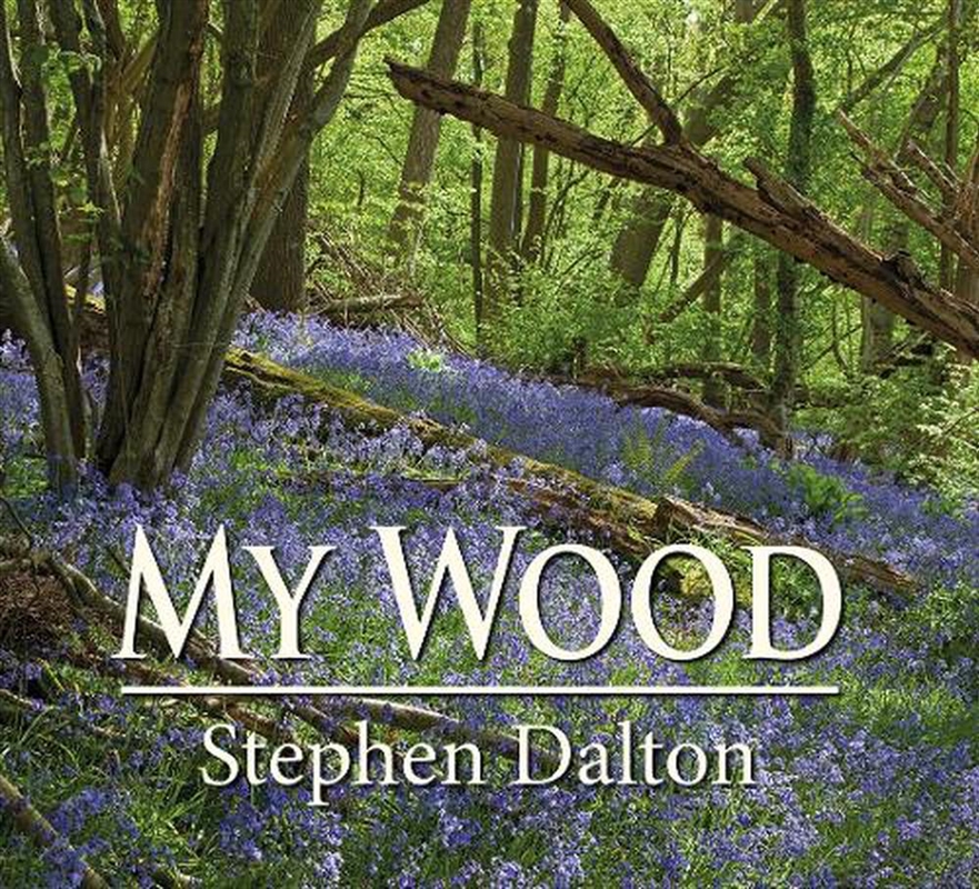 My Wood/Product Detail/Photography