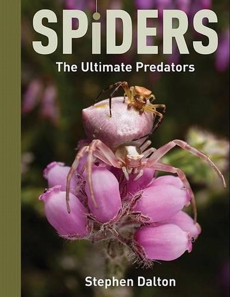Spiders: the Ultimate Predators/Product Detail/Animals & Nature