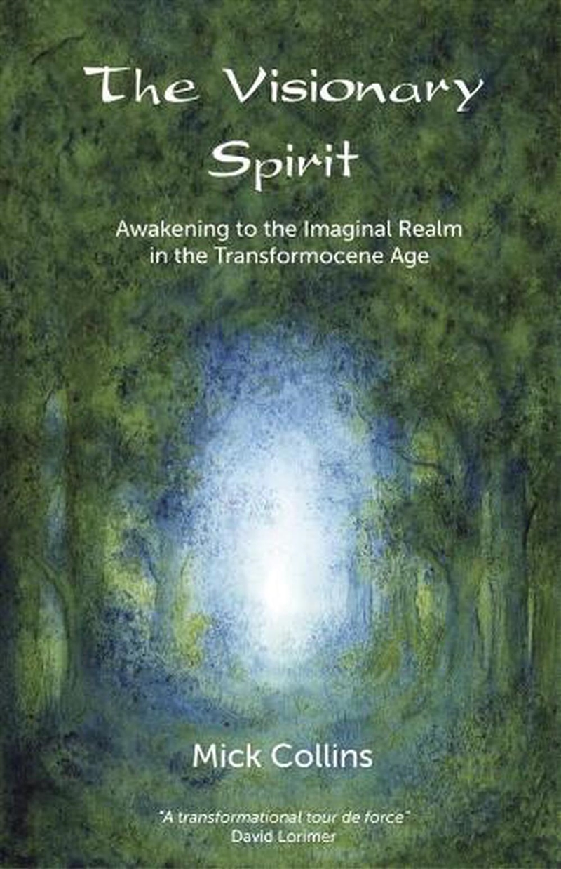 Visionary Spirit: Awakening to the Imaginal Realm in the Transformocene Age/Product Detail/Family & Health