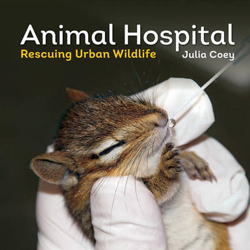 Animal Hospital: Rescuing Urban Wildlife/Product Detail/Childrens