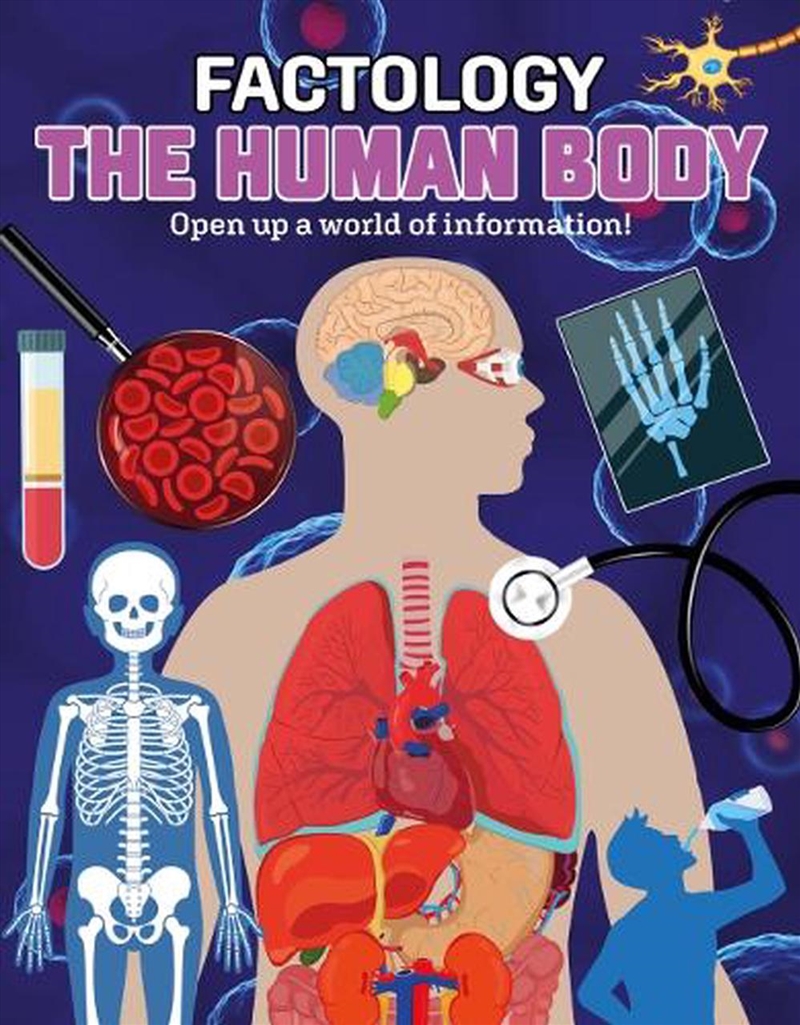 Factology: The Human Body/Product Detail/Childrens