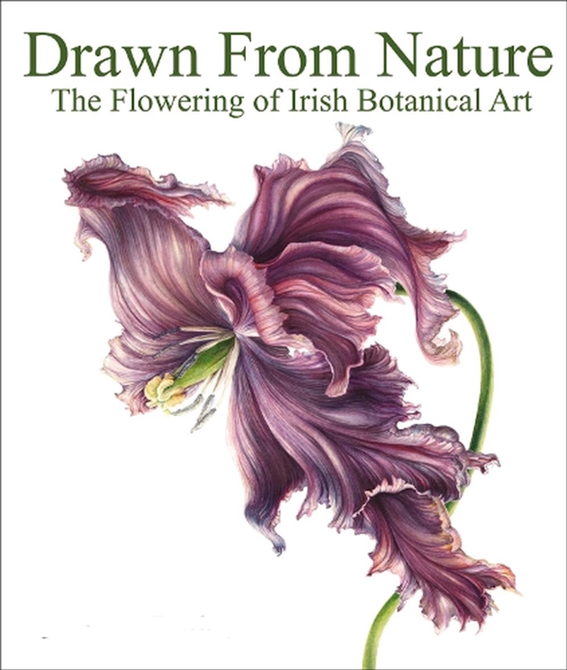 Drawn From Nature: The Flowering of Irish Botanical Art/Product Detail/Reading