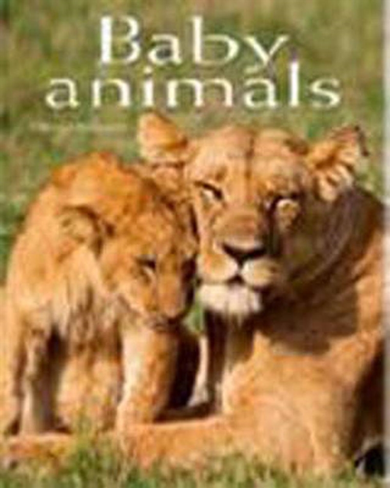 Baby Animals: Pocket Book/Product Detail/Animals & Nature