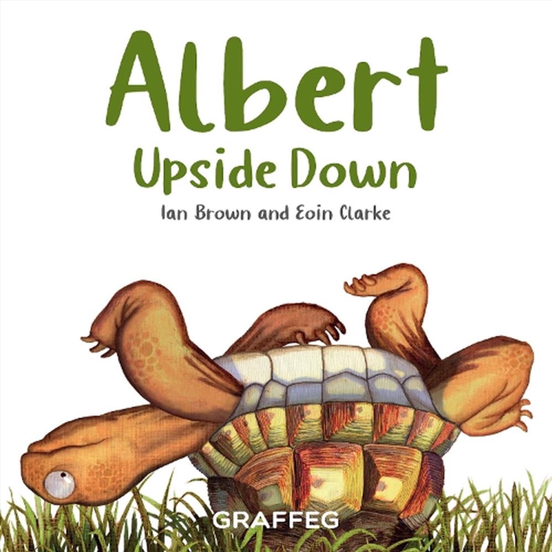 Albert Upside Down/Product Detail/Early Childhood Fiction Books