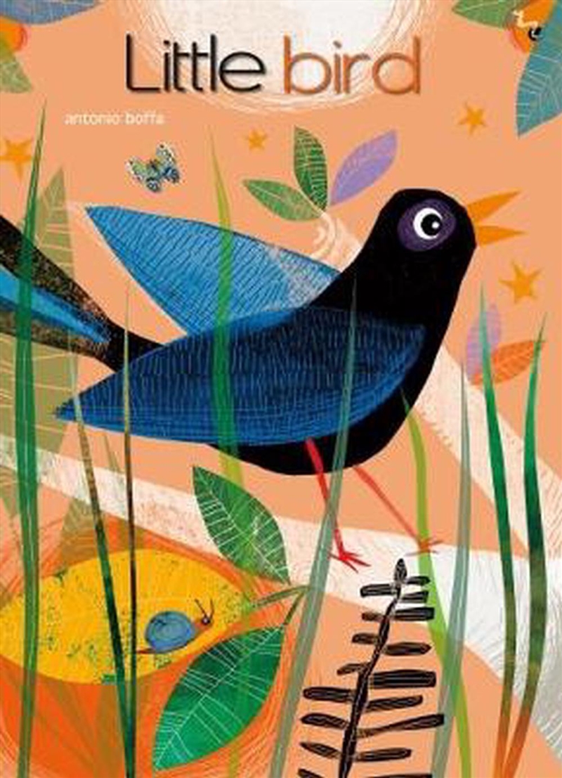 Little Bird/Product Detail/Early Childhood Fiction Books