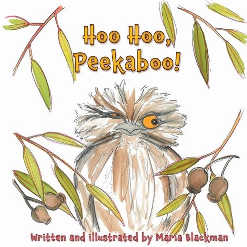 Hoo Hoo, Peekaboo/Product Detail/Early Childhood Fiction Books