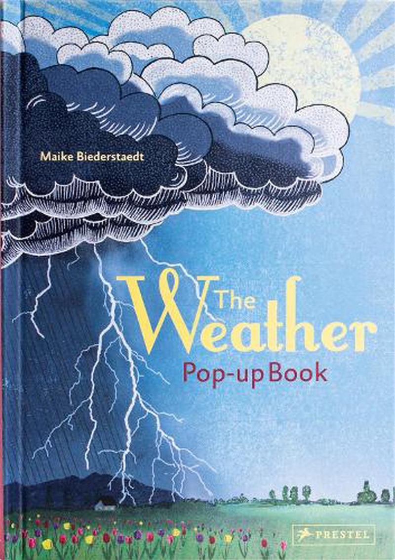 Weather: Pop-up Book/Product Detail/Childrens