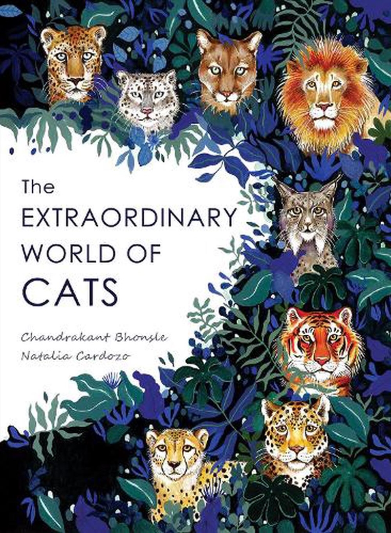 Extraordinary World of Cats/Product Detail/Early Childhood Fiction Books