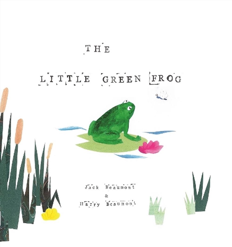 Little Green Frog/Product Detail/Early Childhood Fiction Books