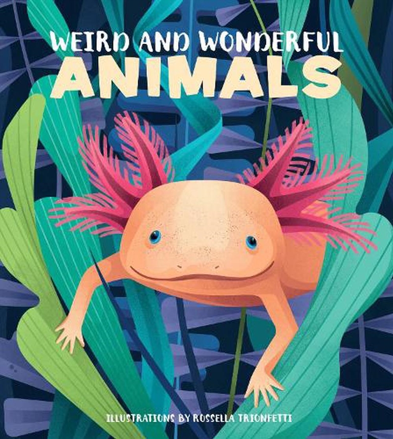 Weird and Wonderful Animals/Product Detail/Childrens