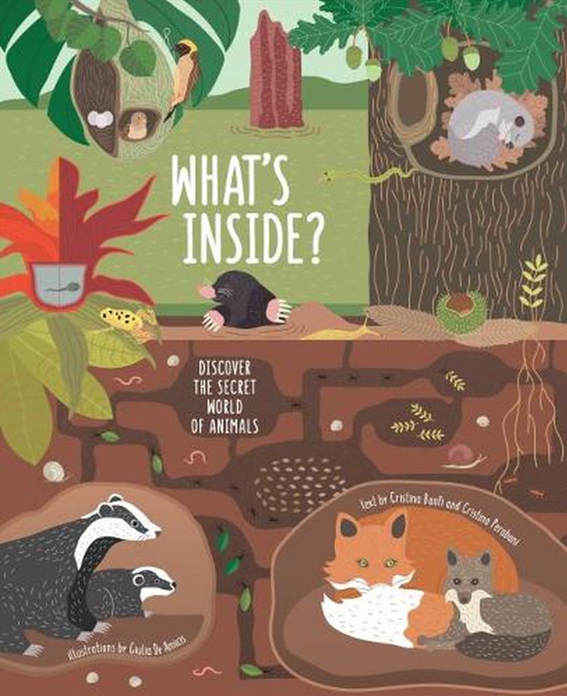 What's Inside? Discover the Secret World of Animals/Product Detail/Childrens