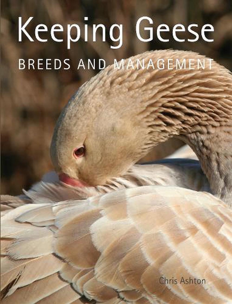 Keeping Geese: Breeds and Management/Product Detail/Animals & Nature