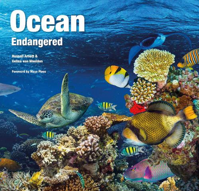 Ocean: Endangered/Product Detail/Animals & Nature
