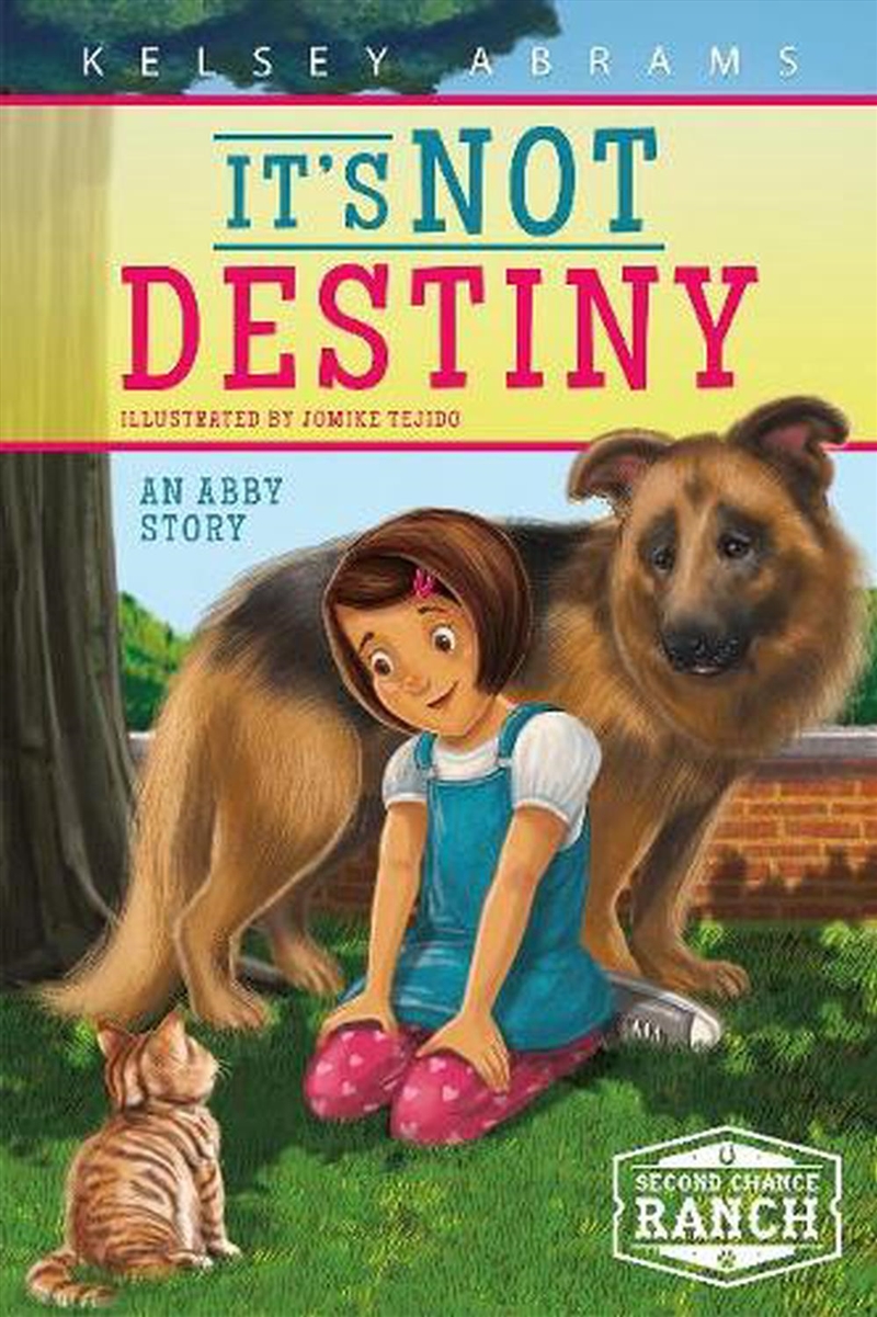 It's Not Destiny: An Abby Story/Product Detail/Childrens Fiction Books