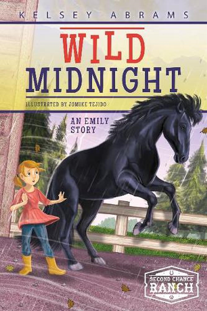 Wild Midnight: An Emily Story/Product Detail/Childrens Fiction Books