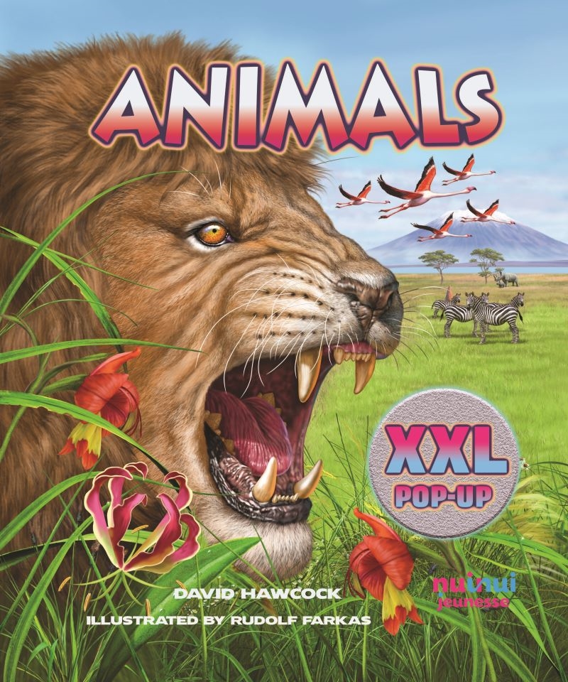 XXL Pop Up: Animals/Product Detail/Early Childhood Fiction Books