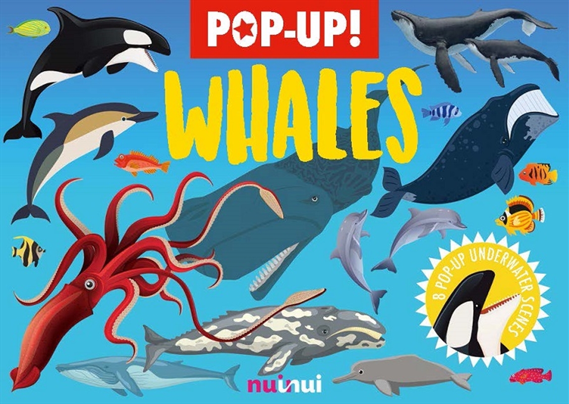 Nature's Pop-Up: Whales And Dolphins/Product Detail/Early Childhood Fiction Books