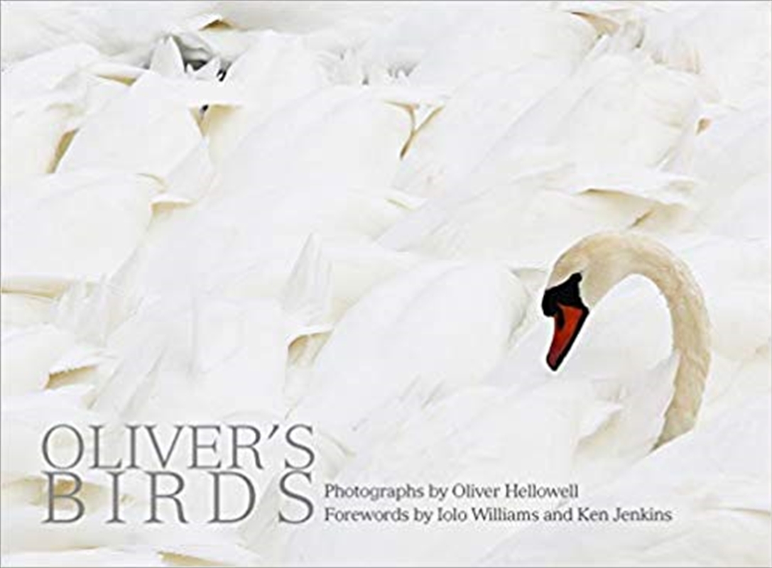 Oliver's Birds: Photographs by Oliver Hellowell/Product Detail/Photography