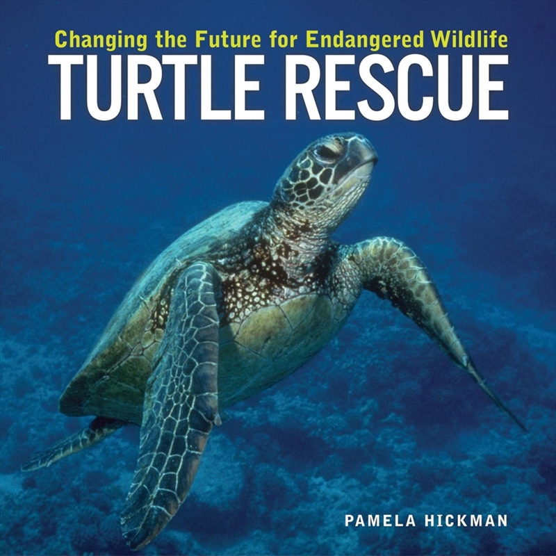 Turtle Rescue/Product Detail/Childrens