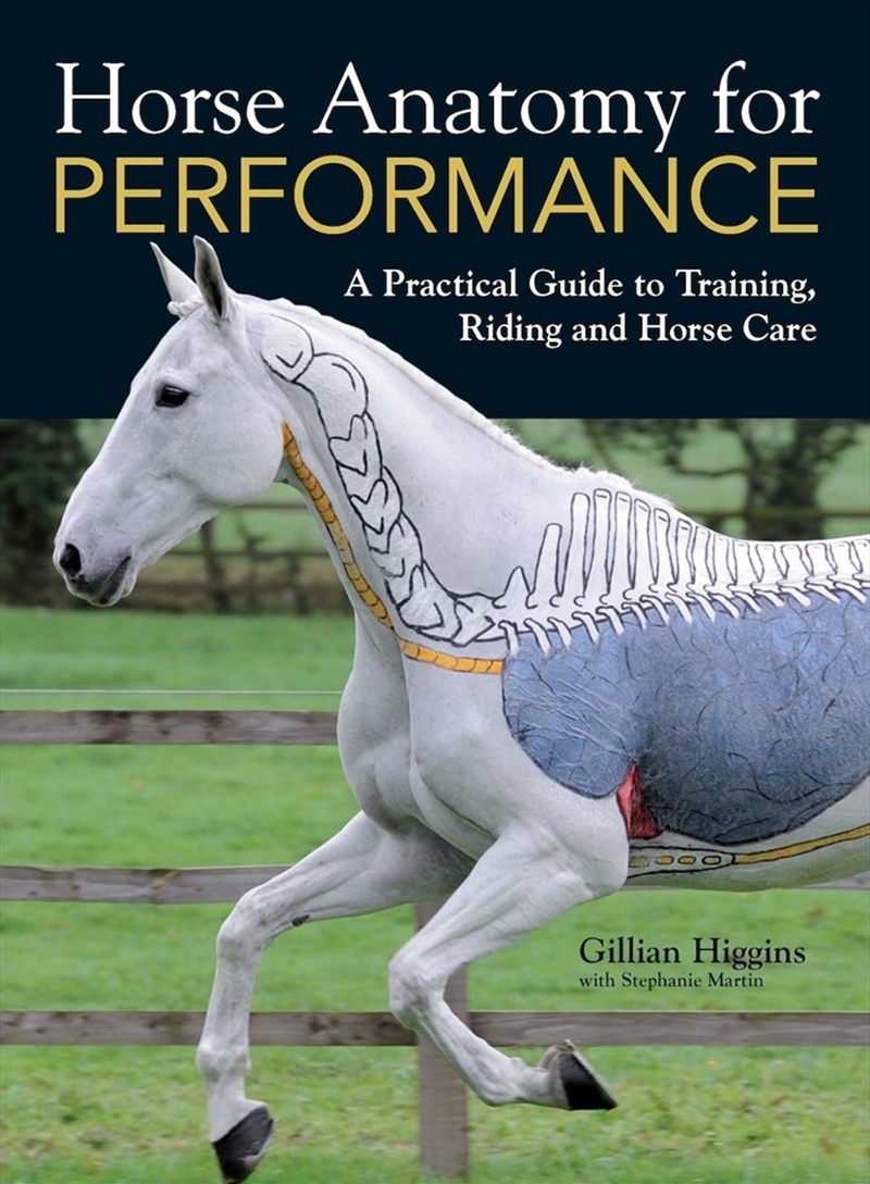 Horse Anatomy for Performance/Product Detail/Sport & Recreation