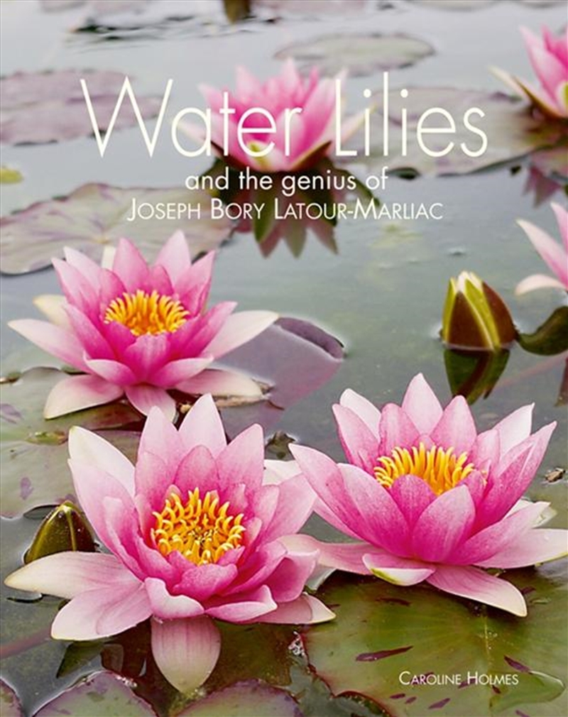 Water Lilies/Product Detail/Gardening