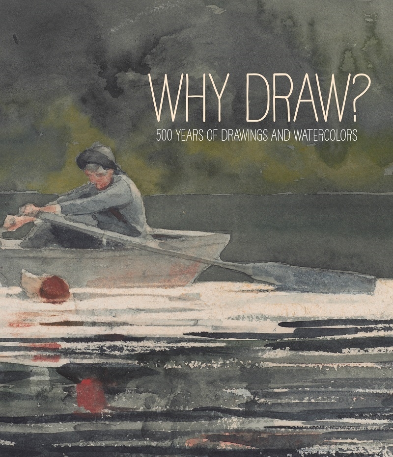 Why Draw? 500 Years/Product Detail/Art