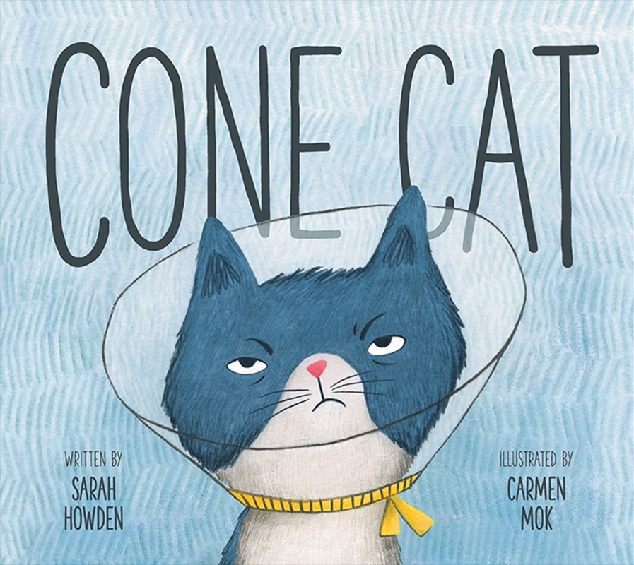 Cone Cat/Product Detail/Early Childhood Fiction Books