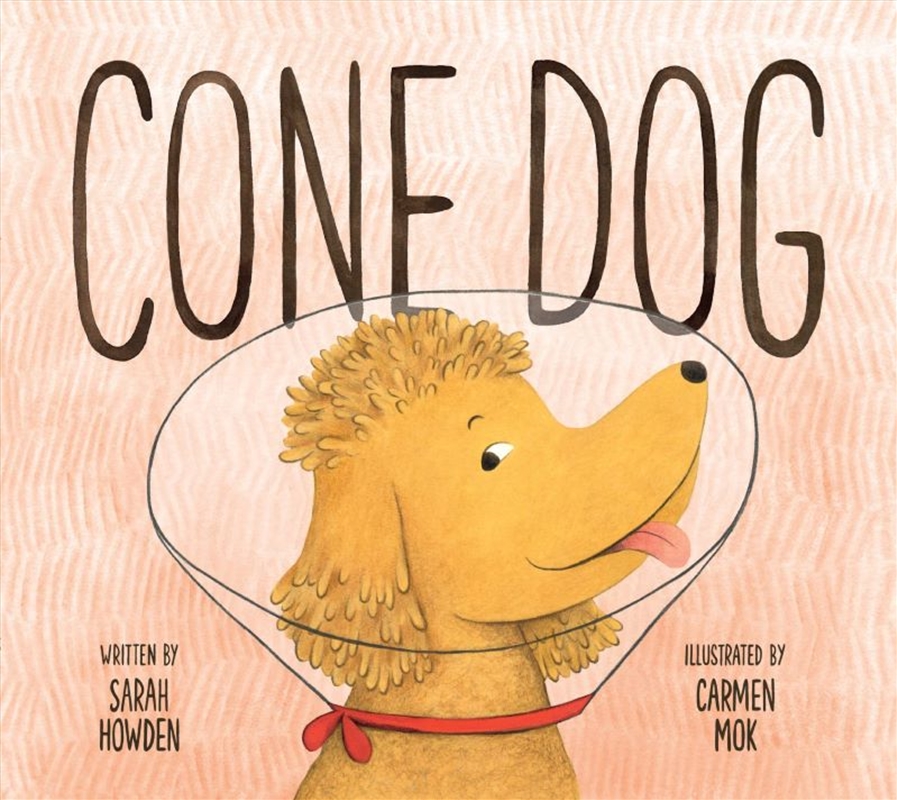 Cone Dog/Product Detail/Early Childhood Fiction Books