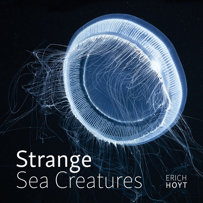 Strange Sea Creatures/Product Detail/Animals & Nature