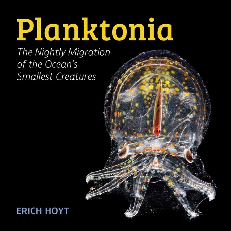 Planktonia: The Nightly Migration of the Ocean's Smallest Creatures/Product Detail/Science