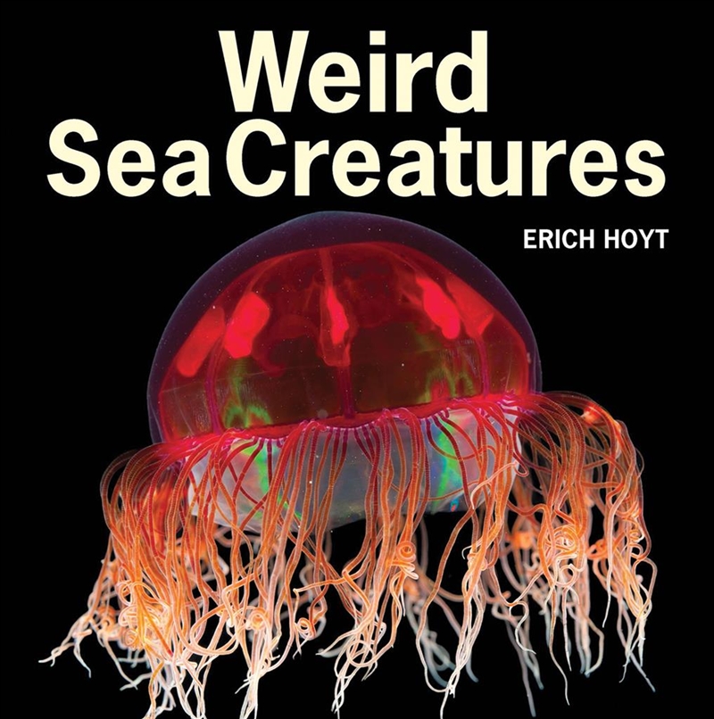 Weird Sea Creatures/Product Detail/Sport & Recreation