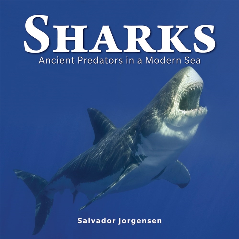 Sharks: Ancient Predators in a Modern Sea/Product Detail/Animals & Nature