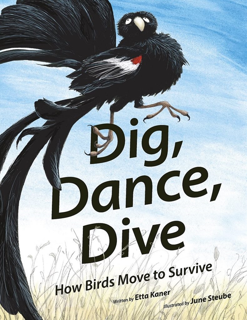 Dig, Dance, Dive: How Birds Move to Survive/Product Detail/Childrens