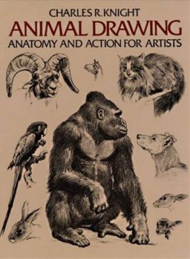 Animal Drawing: Anatomy and Action for Artists/Product Detail/Art