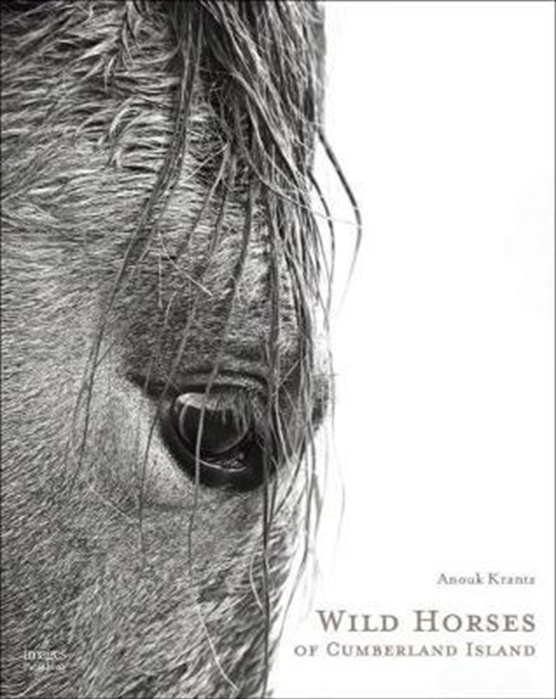 Wild Horses of Cumberland Island/Product Detail/Photography