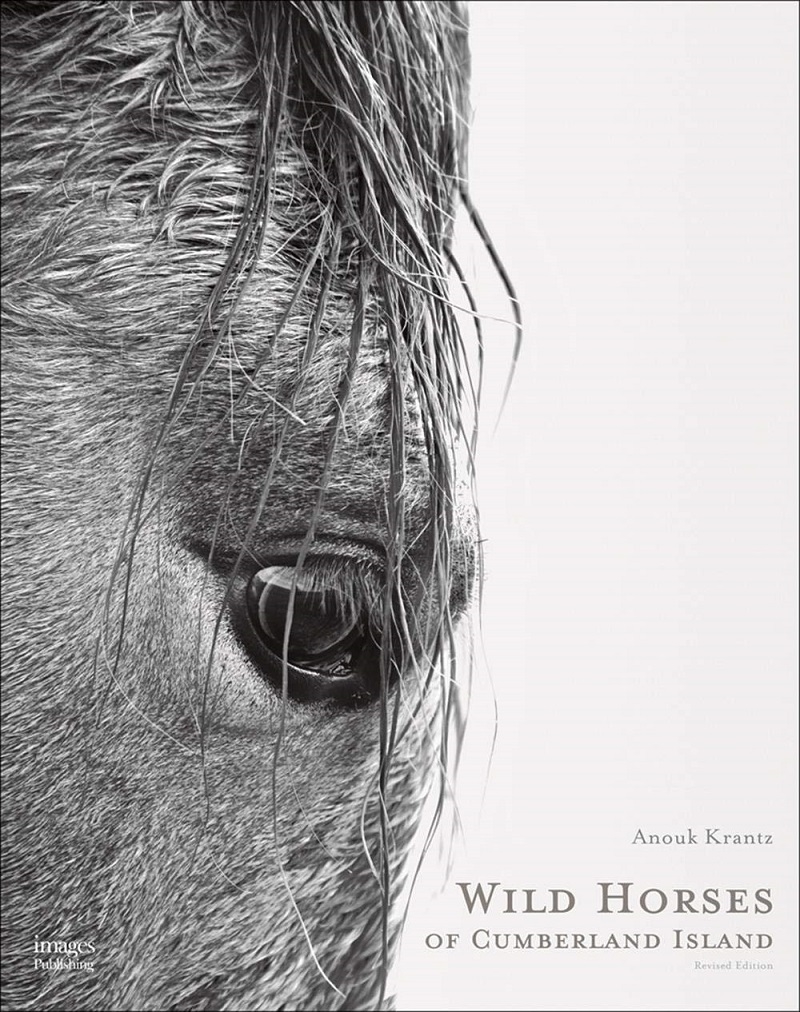 Wild Horses of Cumberland Island/Product Detail/Photography